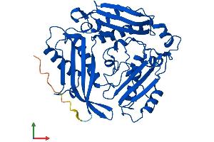AlphaFold protein structure predicition of Human Recombinant MAT1A Protein, UniprotID Q00266