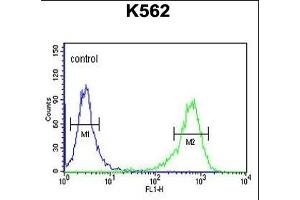 ATP2A1 Antibody (C-term) (ABIN1881089 and ABIN2840069) flow cytometric analysis of K562 cells (right histogram) compared to a negative control cell (left histogram). (ATP2A1/SERCA1 抗体  (C-Term))