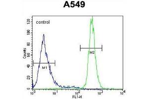 WFDC12 Antibody (C-term) (AP54561PU-N ) flow cytometric analysis of A549 cells (right histogram) compared to a negative control cell (left histogram). (WFDC12 抗体  (C-Term))