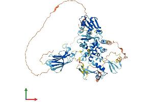 Protein Structure (PS) image for SMAD Specific E3 Ubiquitin Protein Ligase 1 (SMURF1) (AA 1-757) protein (His tag) (ABIN7555586)