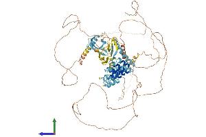 AlphaFold protein structure predicition of Human Recombinant MPHOSPH8 Protein, UniprotID Q99549 (MPHOSPH8 Protein (AA 1-860) (His tag))