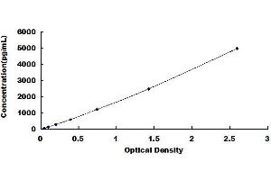 Typical standard curve (Growth Hormone 2 ELISA 试剂盒)