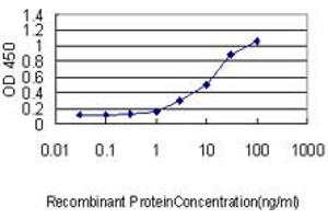Detection limit for recombinant GST tagged GKN1 is approximately 0. (Gastrokine 1 抗体  (AA 21-185))