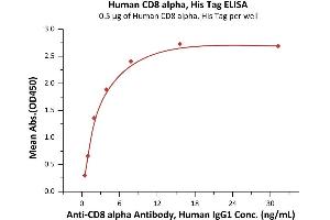 Immobilized Human CD8 alpha, His Tag (ABIN6973024) at 1 μg/mL (100 μL/well) can bind Anti-CD8 alpha Antibody, Mouse IgG2a (clone: OKT8) with a linear range of 0. (CD8 alpha Protein (AA 22-182) (His tag))