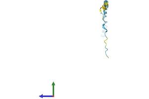 Protein Structure (PS) image for Small Proline-Rich Protein 2F (SPRR2F) (AA 1-72) protein (Fc Tag) (ABIN7546278)