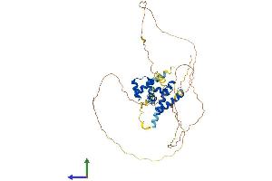 Protein Structure (PS) image for POU Domain, Class 4, Transcription Factor 2 (POU4F2) (AA 1-411) protein (His tag) (ABIN7557801)