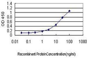 Detection limit for recombinant GST tagged CASP9 is approximately 3ng/ml as a capture antibody. (Caspase 9 抗体  (AA 1-416))