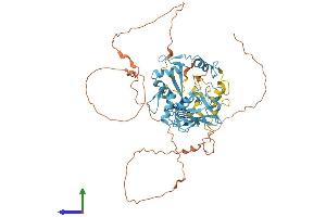 AlphaFold protein structure predicition of Human Recombinant PRDM14 Protein, UniprotID Q9GZV8