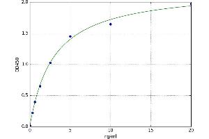 A typical standard curve (IGF1R ELISA 试剂盒)
