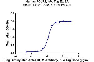 Immobilized Human FOLR1, hFc Tag at 0. (FOLR1 Protein (AA 25-233) (Fc Tag))