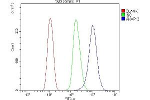 Flow Cytometry analysis of HEPA1-6 cells using anti-AKAP12 antibody (ABIN7601563). (AKAP12 抗体  (AA 387-1620))