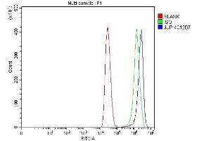 Flow Cytometry analysis of MCF-7 cells using anti-gamma Catenin antibody (ABIN7602031).