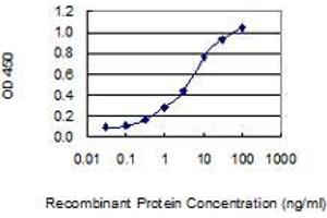 Detection limit for recombinant GST tagged PCDHA11 is 0. (PCDHA11 抗体  (AA 203-291))