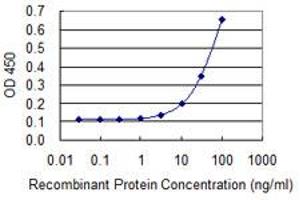 Detection limit for recombinant GST tagged MRE11A is 3 ng/ml as a capture antibody. (Mre11 抗体  (AA 1-206))