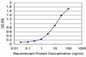 Detection limit for recombinant GST tagged HCLS1 is approximately 0. (HCLS1 抗体  (AA 266-355))