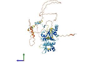 Protein Structure (PS) image for Origin Recognition Complex Subunit 2 (ORC2) (AA 1-577) protein (His tag) (ABIN7554821)