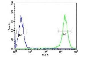 TFAM antibody flow cytometric analysis of K562 cells (right histogram) compared to a negative control (left histogram). (TFAM 抗体  (AA 216-246))