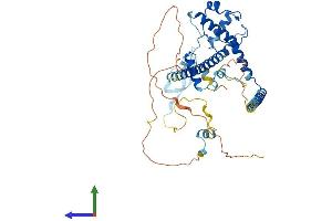 Protein Structure (PS) image for DNA Methyltransferase 1-Associated Protein 1 (DMAP1) (AA 1-468) protein (His tag) (ABIN7565081)