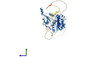 Protein Structure (PS) image for Cyclin-Dependent Kinase 19 (CDK19) (AA 1-502) protein (His tag) (ABIN7553160)