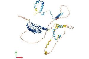 AlphaFold protein structure predicition of Mouse Recombinant Lmod2 Protein, UniprotID Q3UHZ5