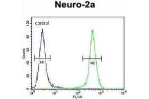 Flow cytometric analysis of Neuro-2a cells using Josephin-2 Antibody (N-term) Cat. (JOSD2 抗体  (N-Term))