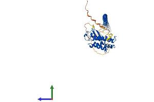 Protein Structure (PS) image for RAB3A Interacting Protein (Rabin3)-Like 1 (RAB3IL1) (AA 1-382) protein (His tag) (ABIN7551151)