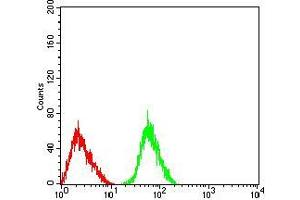 Flow cytometric analysis of SK-N-SH cells using CHRNA3 mouse mAb (green) and negative control (red).