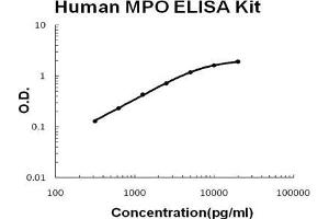Human MPO PicoKine ELISA Kit standard curve (Myeloperoxidase ELISA 试剂盒)