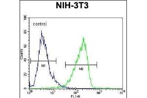 Calponin-3 Antibody (Center) (ABIN390504 and ABIN2840860) flow cytometric analysis of NIH-3T3 cells (right histogram) compared to a negative control cell (left histogram). (CNN3 抗体  (AA 129-158))