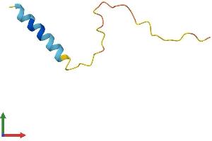 AlphaFold protein structure predicition of Human Recombinant PRCD Protein, UniprotID Q00LT1