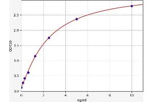 Keratin 16 (KRT16) ELISA Kit