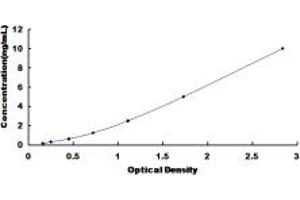 Typical standard curve (SNX17 ELISA 试剂盒)