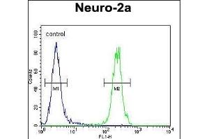 F1 Antibody (Center) (ABIN654163 and ABIN2844027) flow cytometric analysis of Neuro-2a cells (right histogram) compared to a negative control cell (left histogram). (MAF1 抗体  (AA 90-117))