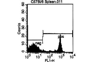 Representative Histogram - Cell Source: CD3e Positive Spleen Cells Percentage of cells stained above control: 34. (CD8 抗体  (FITC))