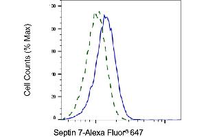 Validation of Septin 7 knockdown using flow cytometry. (Recombinant Septin 7 抗体)