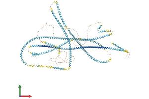 AlphaFold protein structure predicition of Human Recombinant KTN1 Protein, UniprotID Q86UP2