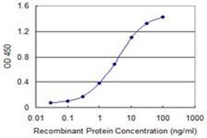 Detection limit for recombinant GST tagged HOXA9 is 0. (HOXA9 抗体  (AA 1-272))