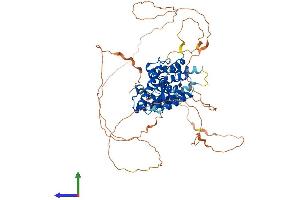 AlphaFold protein structure predicition of Mouse Recombinant Nr4a3 Protein, UniprotID Q9QZB6