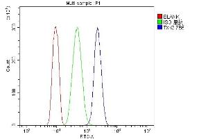 Flow Cytometry analysis of HL-60 cells using anti-Thioredoxin 2/TXN2 antibody (ABIN7602149).