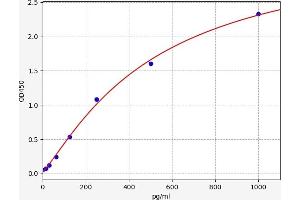 Oncostatin M (OSM) ELISA Kit
