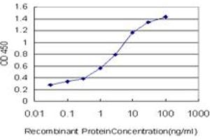 Detection limit for recombinant GST tagged ZIC3 is approximately 0. (ZIC3 抗体  (AA 182-274))