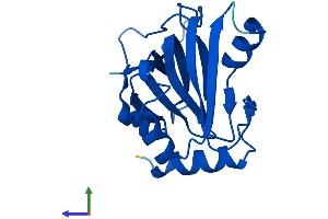 Protein Structure (PS) image for Acireductone Dioxygenase 1 (ADI1) (AA 1-179) protein (His tag) (ABIN7549609)