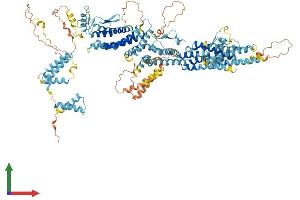 AlphaFold protein structure predicition of Human Recombinant TUBGCP5 Protein, UniprotID Q96RT8 (TUBGCP5 Protein (AA 1-1024) (His tag))