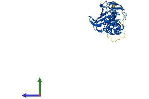AlphaFold protein structure predicition of Human Recombinant FBXO2 Protein, UniprotID Q9UK22