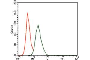 Immunohistochemical analysis of paraffin-embedded cervical cancer tissues using RUNX3 antibody with DAB staining. (RUNX3 抗体  (AA 186-252))