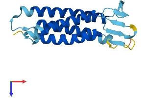 AlphaFold protein structure predicition of Mouse Recombinant Emp1 Protein, UniprotID P47801