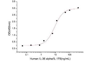 Interleukin 1 Family, Member 6 (IL1F6) (AA 1-158) (Active) protein (His tag)