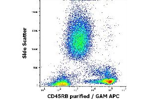 Flow cytometry surface staining pattern of human peripheral whole blood stained using anti-human CD45RB (MEM-143) purified antibody (concentration in sample 0. (CD45RB 抗体)