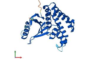 Protein Structure (PS) image for OTU Domain, Ubiquitin Aldehyde Binding 2 (OTUB2) (AA 1-234) protein (His tag) (ABIN7550540)