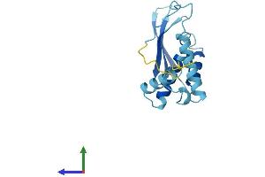 Protein Structure (PS) image for Chromosome 3 Open Reading Frame 34 (C3orf34) (AA 1-163) protein (His tag) (ABIN7553456)